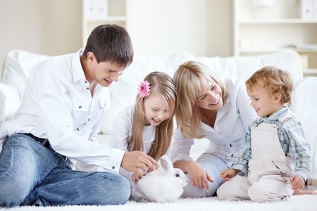 rabbits and family.jpg